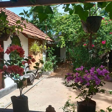 Mamisa Cafe, Home Stay Habarana Kültér fotó