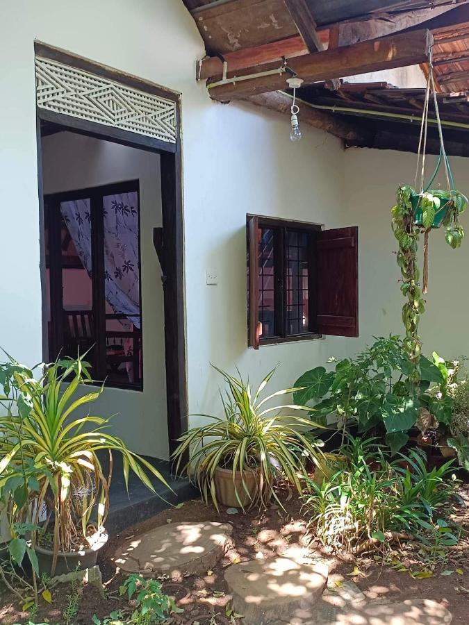 Mamisa Cafe, Home Stay Habarana Kültér fotó